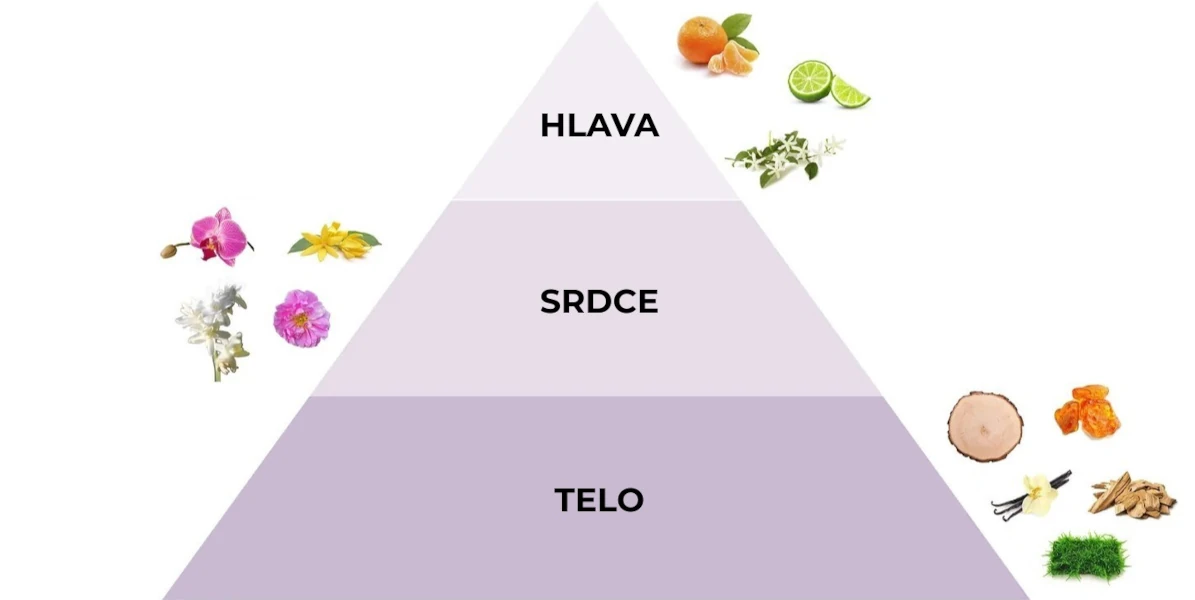 Pyramída vôní parfumovaného spreju Soffice Viola